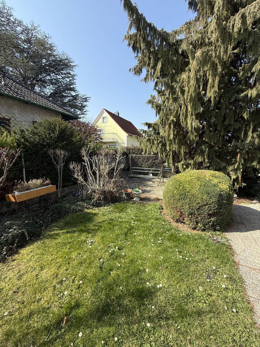 Weitläufiger Gartenbereich mit Rasen, Bäumen und Blick auf die Nachbarhäuser.