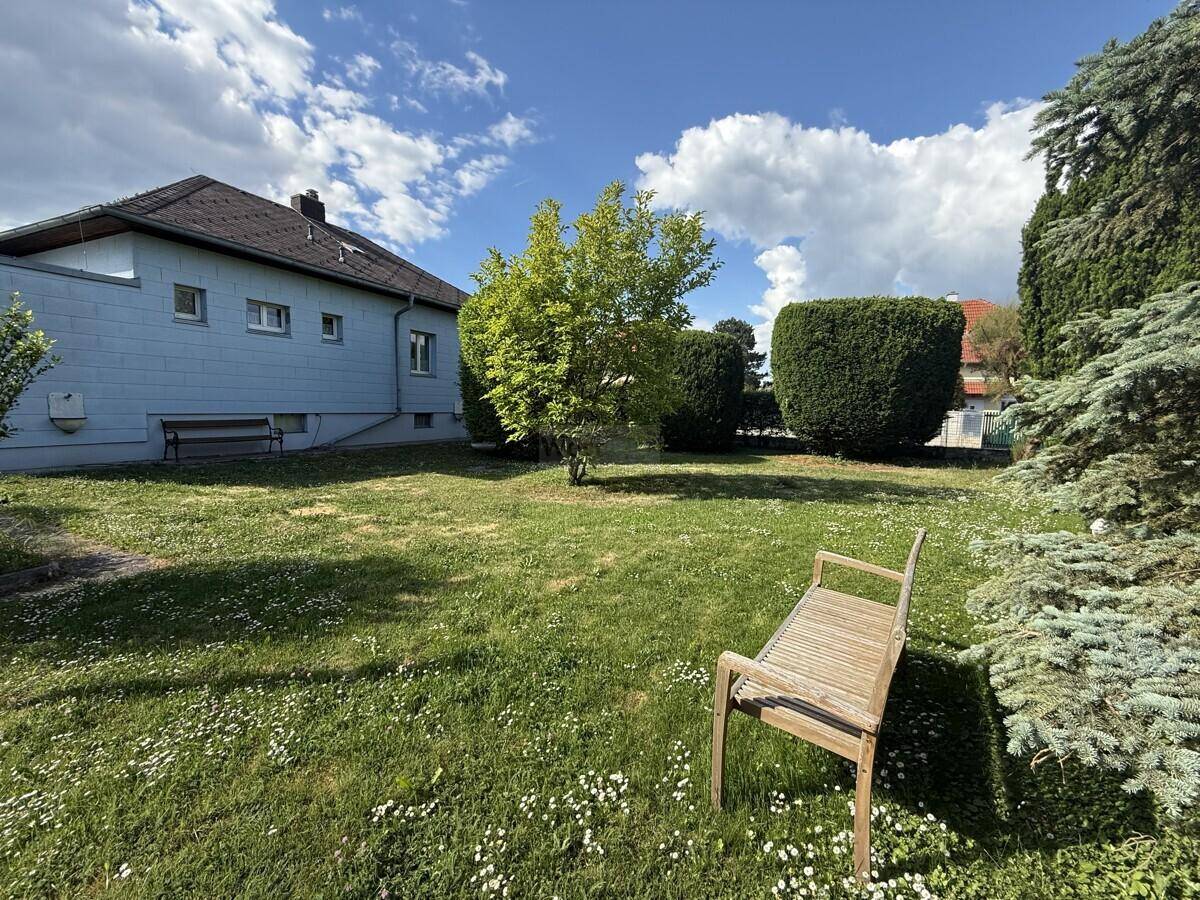 Sonniger Garten mit grüner Rasenfläche, hohen Hecken und einer einladenden Holzbank.