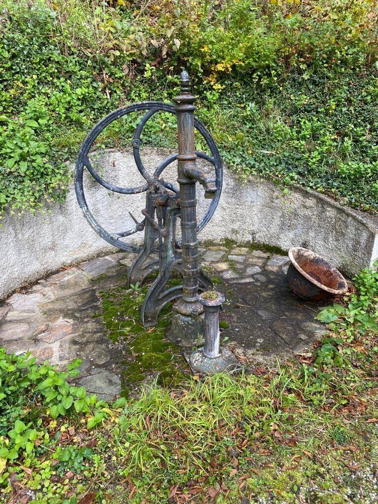 Historische gusseiserne Wasserpumpe in einem verwachsenen Gartenbereich mit Steinpflaster.