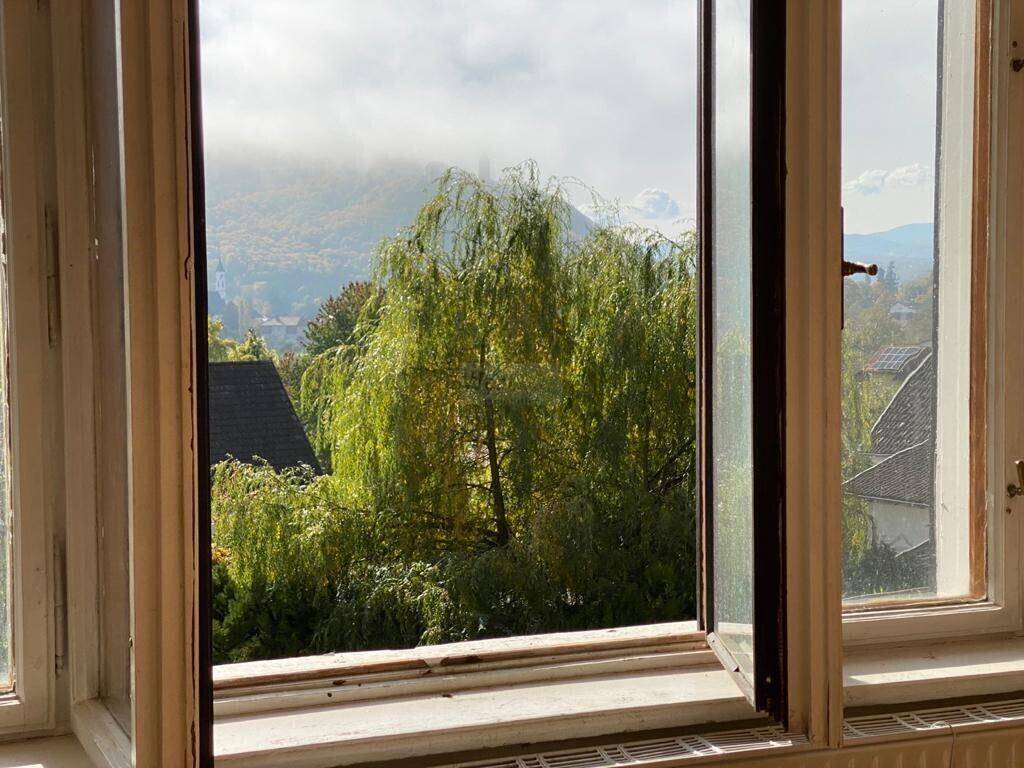 Nahaufnahme des Fensters mit Blick auf einen großen Weidenbaum und die Landschaft.