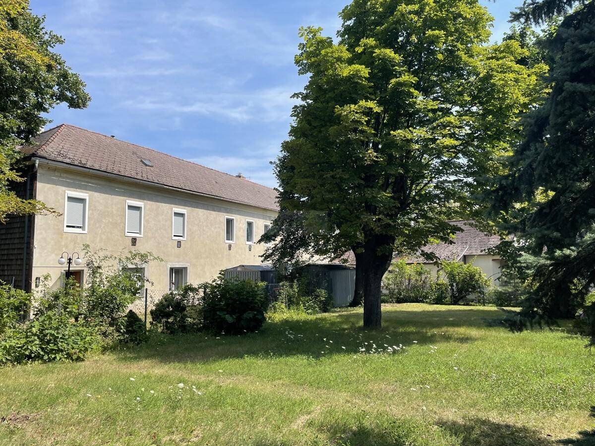Hinterhofgarten mit Rasenfläche und Blick auf die Fassade eines älteren Wohngebäudes.