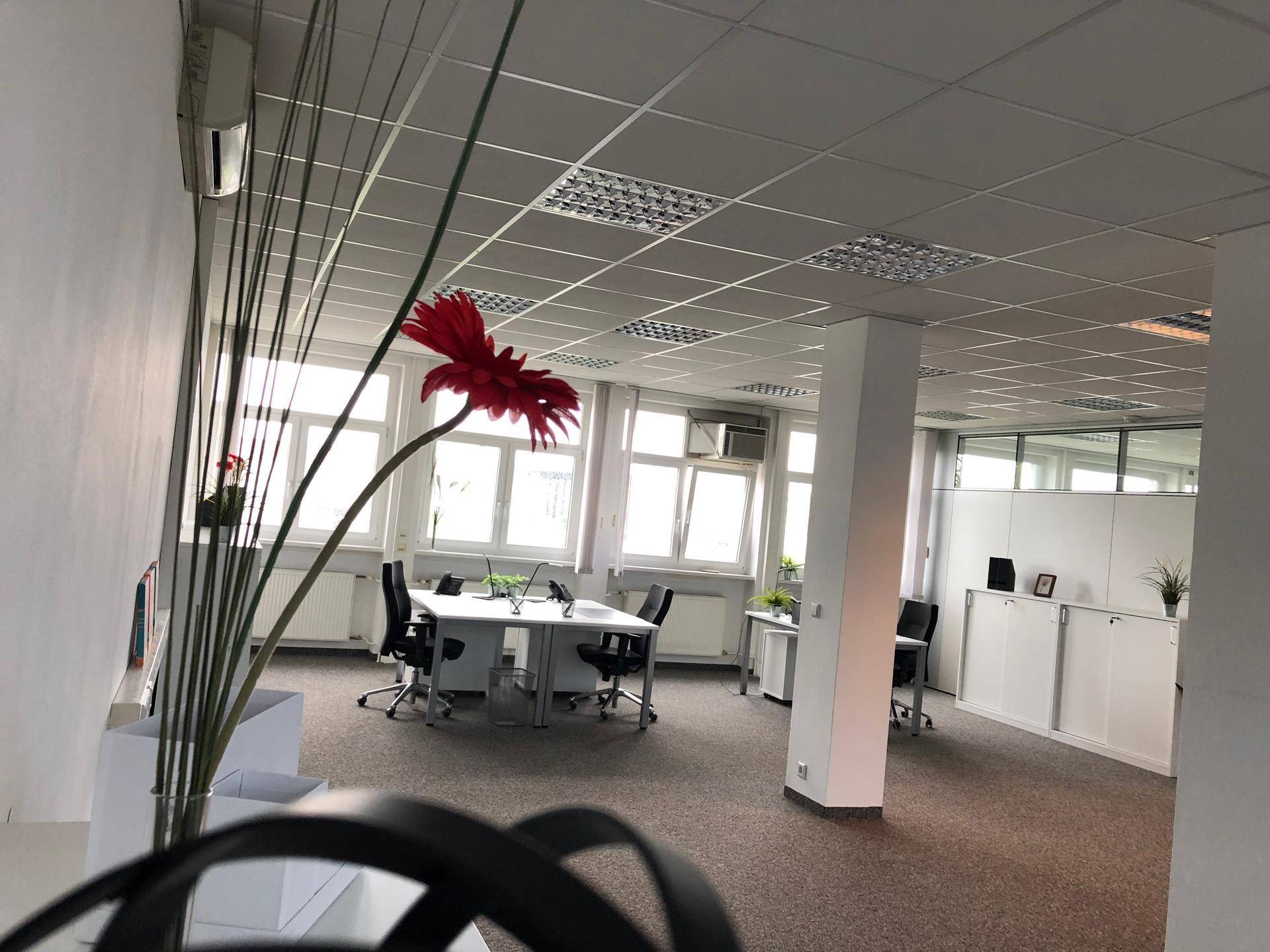 Helles Büro mit mehreren Arbeitsplätzen, Teppichboden und einem dekorativen Element im Vordergrund.