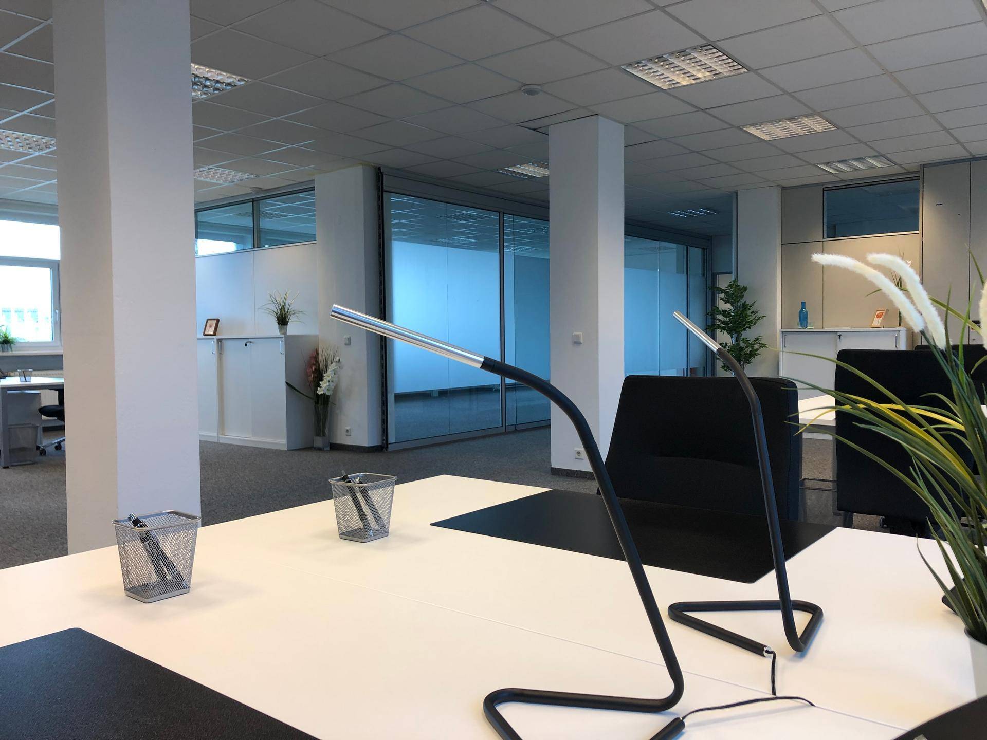 Großzügiges Büro mit mehreren Arbeitsplätzen, Teppichboden und Glaswänden zu weiteren Räumen.