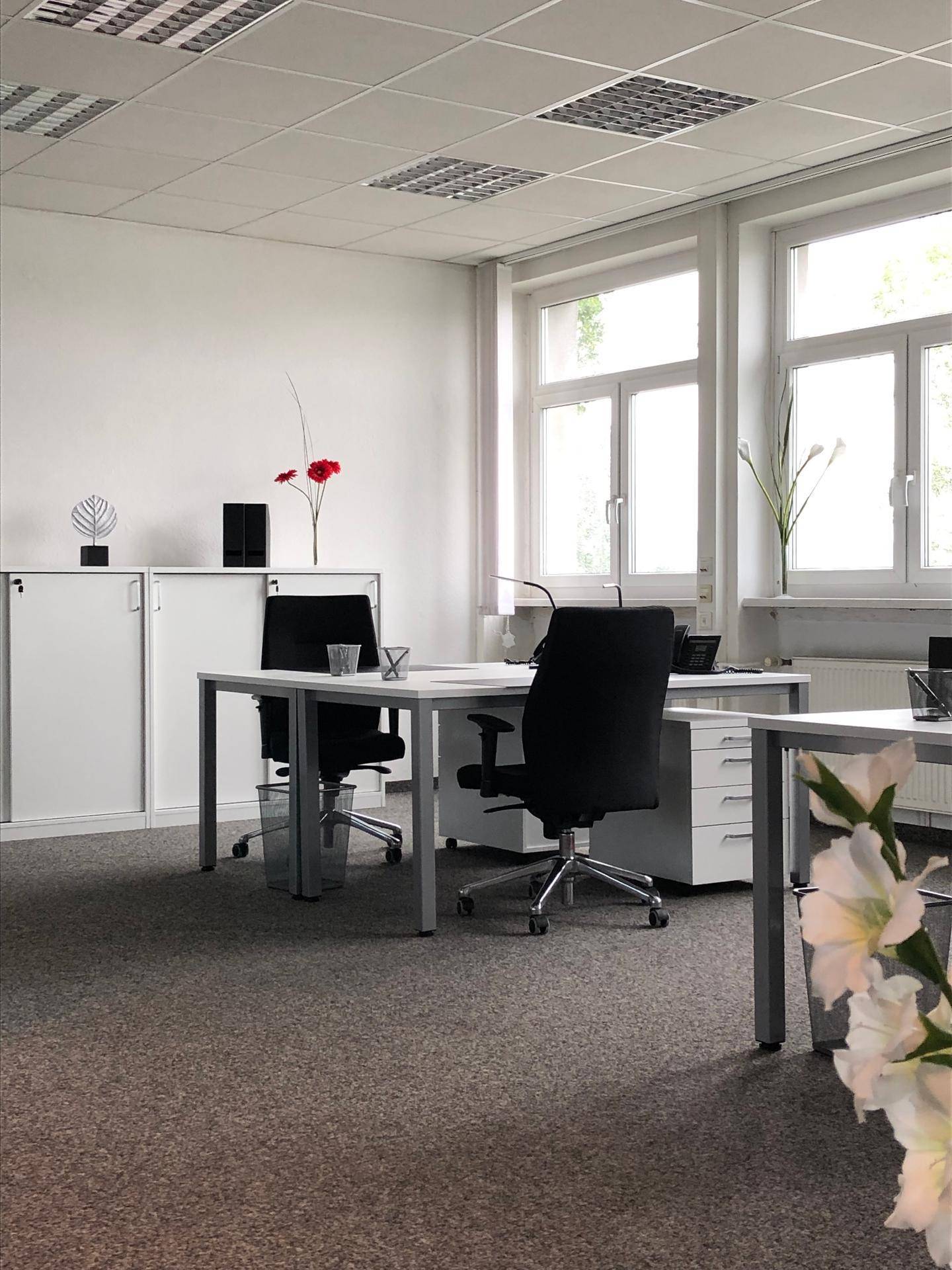 Helles, modernes Büro mit mehreren Arbeitsplätzen, Teppichboden und großen Fenstern, die viel Tageslicht hereinlassen.
