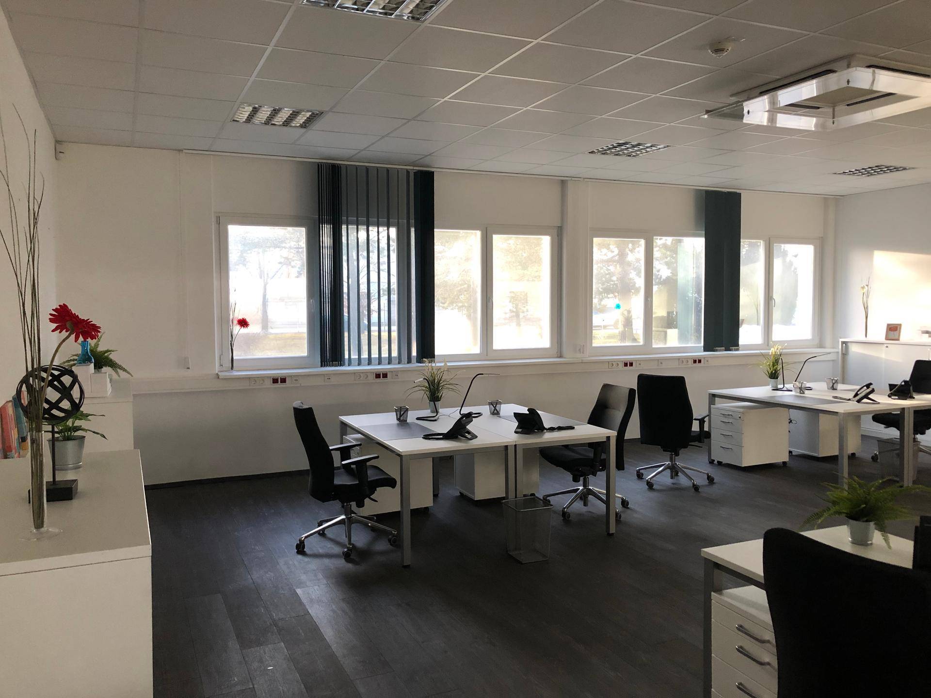Geräumiges Büro mit dunklem Laminatboden, mehreren Schreibtischen und großen Fenstern mit Jalousien.
