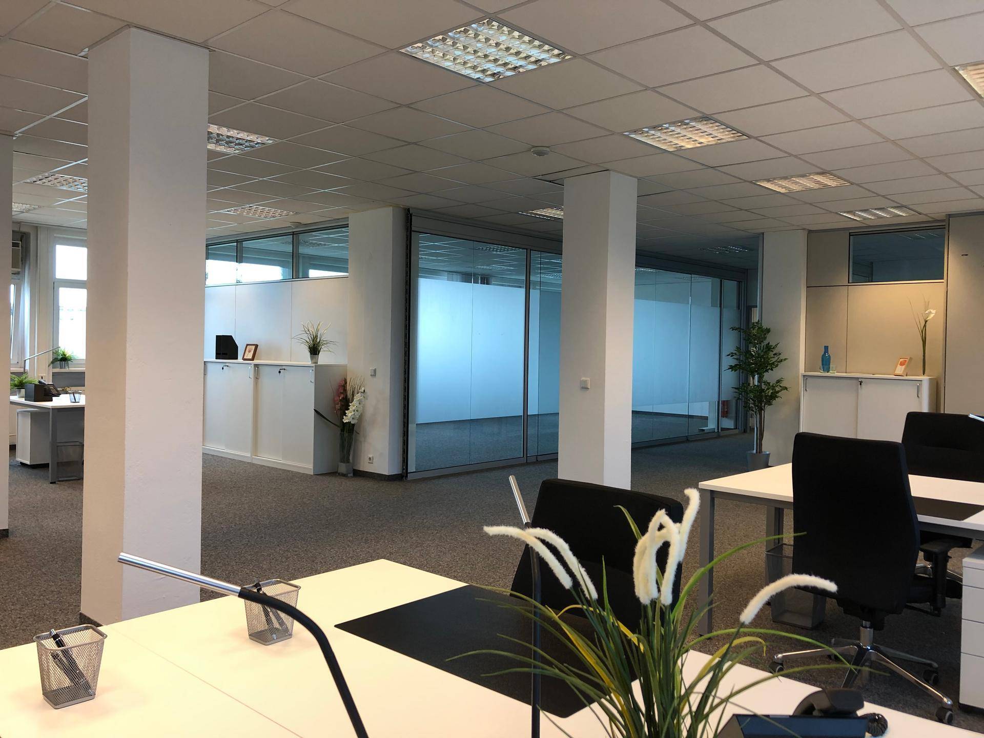 Offener Bürobereich mit modernen Arbeitsplätzen und abgetrennten Glasbüros im Hintergrund.