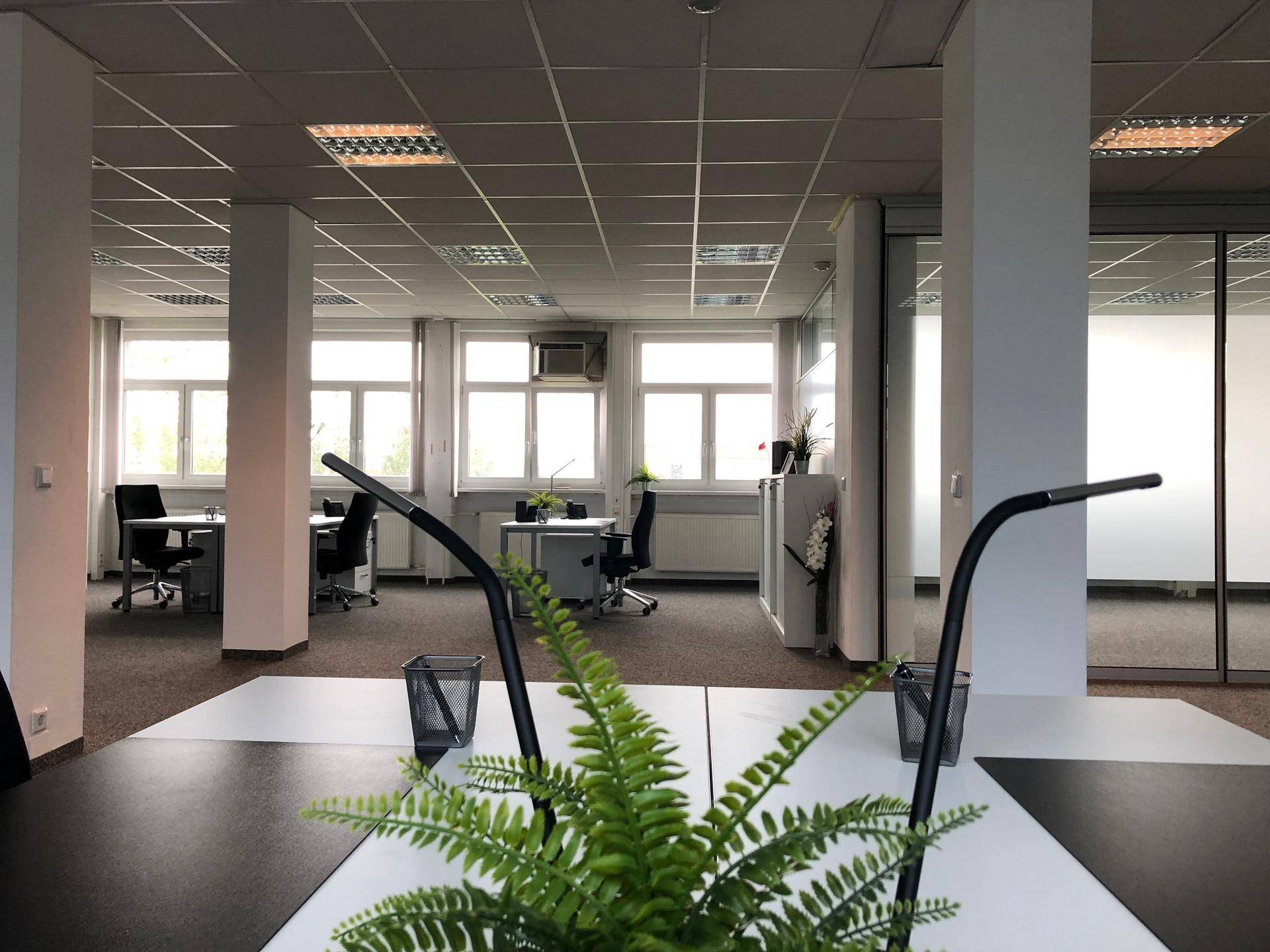 Geräumiges Büro mit mehreren Arbeitsbereichen, Säulen und Blick in angrenzende Büros.