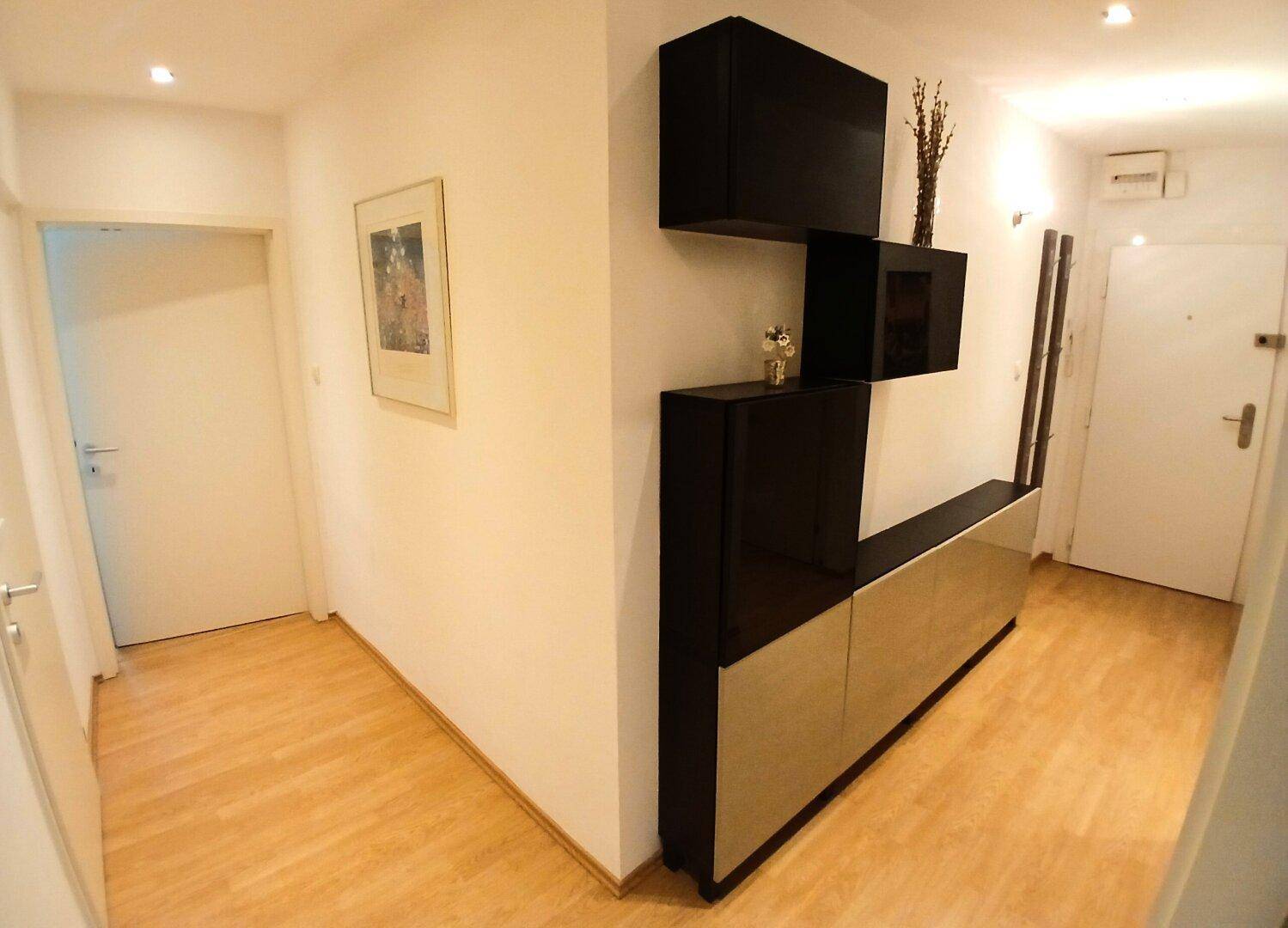 Moderner Eingangsbereich mit glänzenden schwarzen und silbernen Schränken und Holzfußboden.