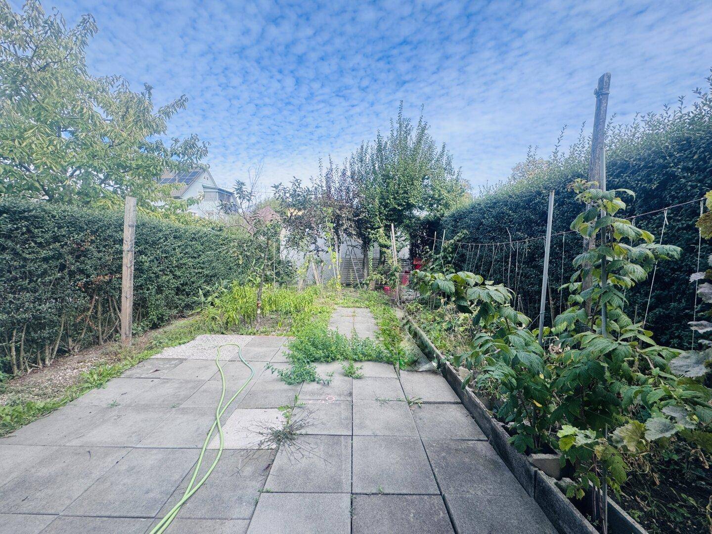Gartenbereich mit gepflastertem Weg und üppiger Vegetation unter blauem Himmel.
