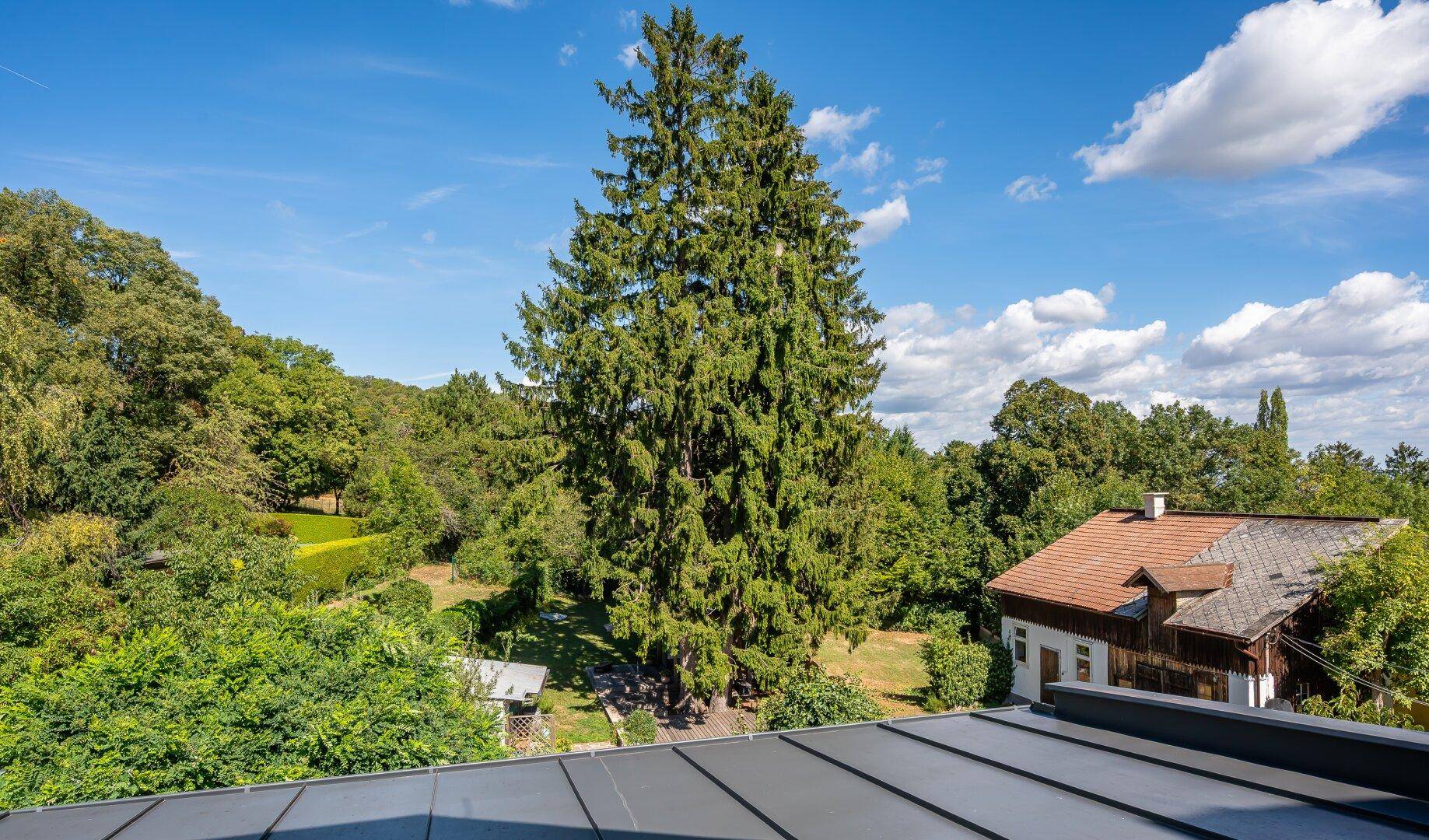 Blick von Schlafzimmer