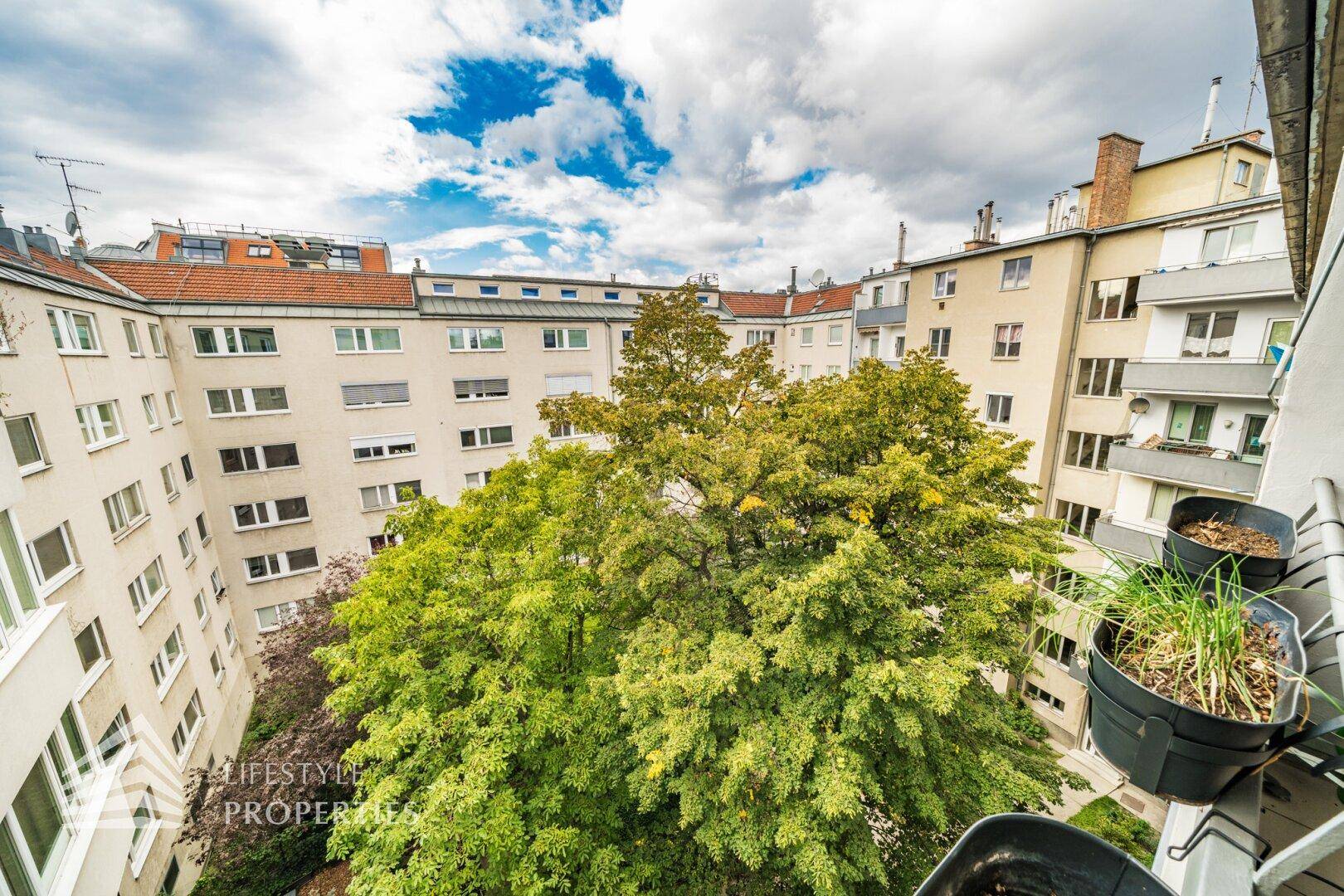 Blick vom Balkon in den grünen Innenhof mit altem Baumbestand.