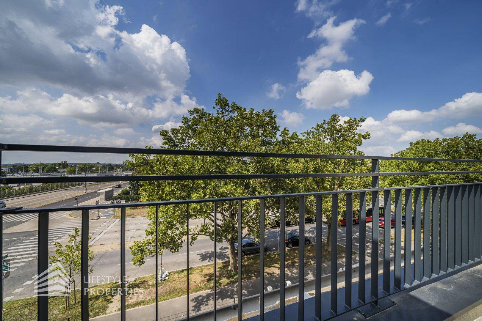 Blick von der Dachterrasse auf die grüne Umgebung und die darunterliegende Straße.