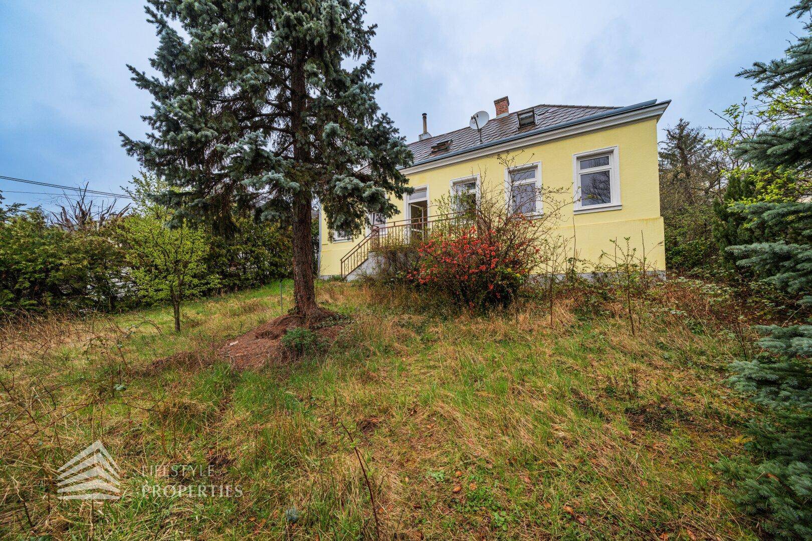Vorderansicht des gelben Hauses mit bewachsenem Garten und hohen Bäumen im Hintergrund.