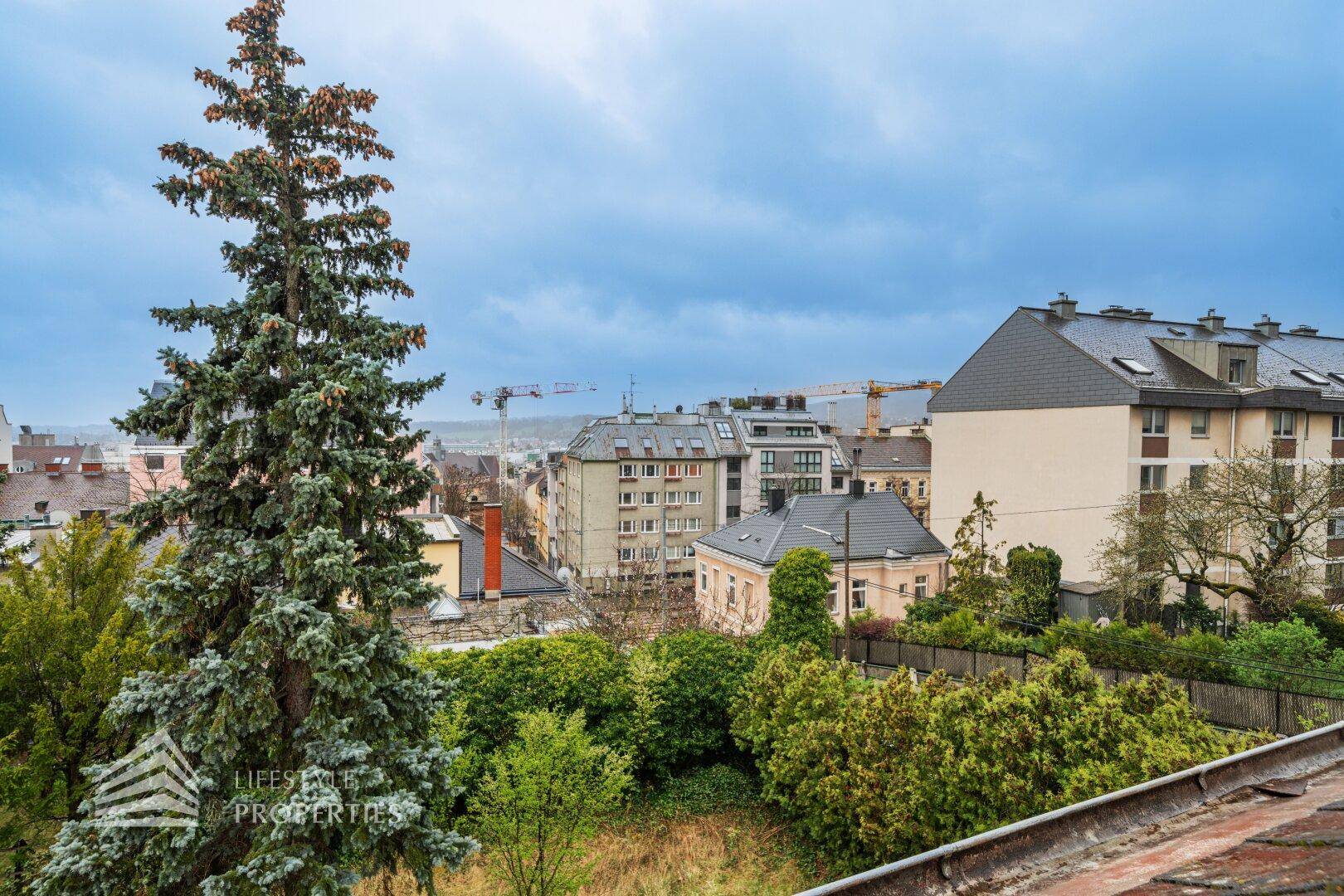 Weitblick über die Stadt mit Gebäuden, Kränen und einem großen Nadelbaum im Vordergrund.