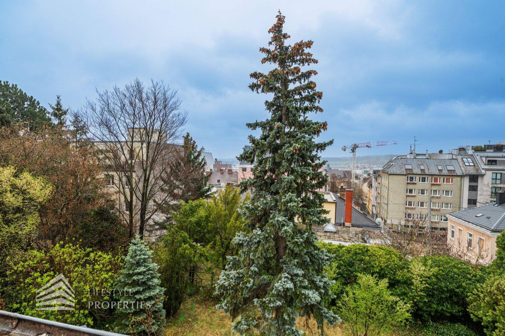 Panoramablick auf die Stadt mit hohen Gebäuden und einem markanten Nadelbaum im Vordergrund.