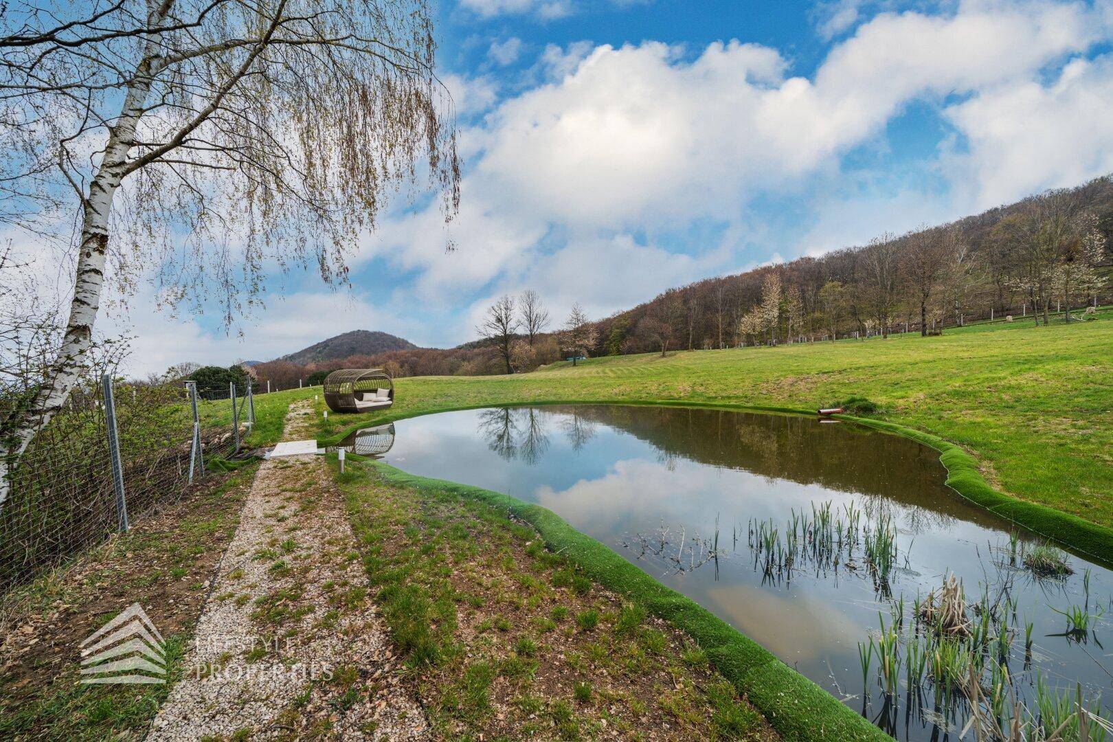 Idyllischer Naturteich mit Uferbewuchs und einem kleinen Pfad, umgeben von grüner Landschaft.