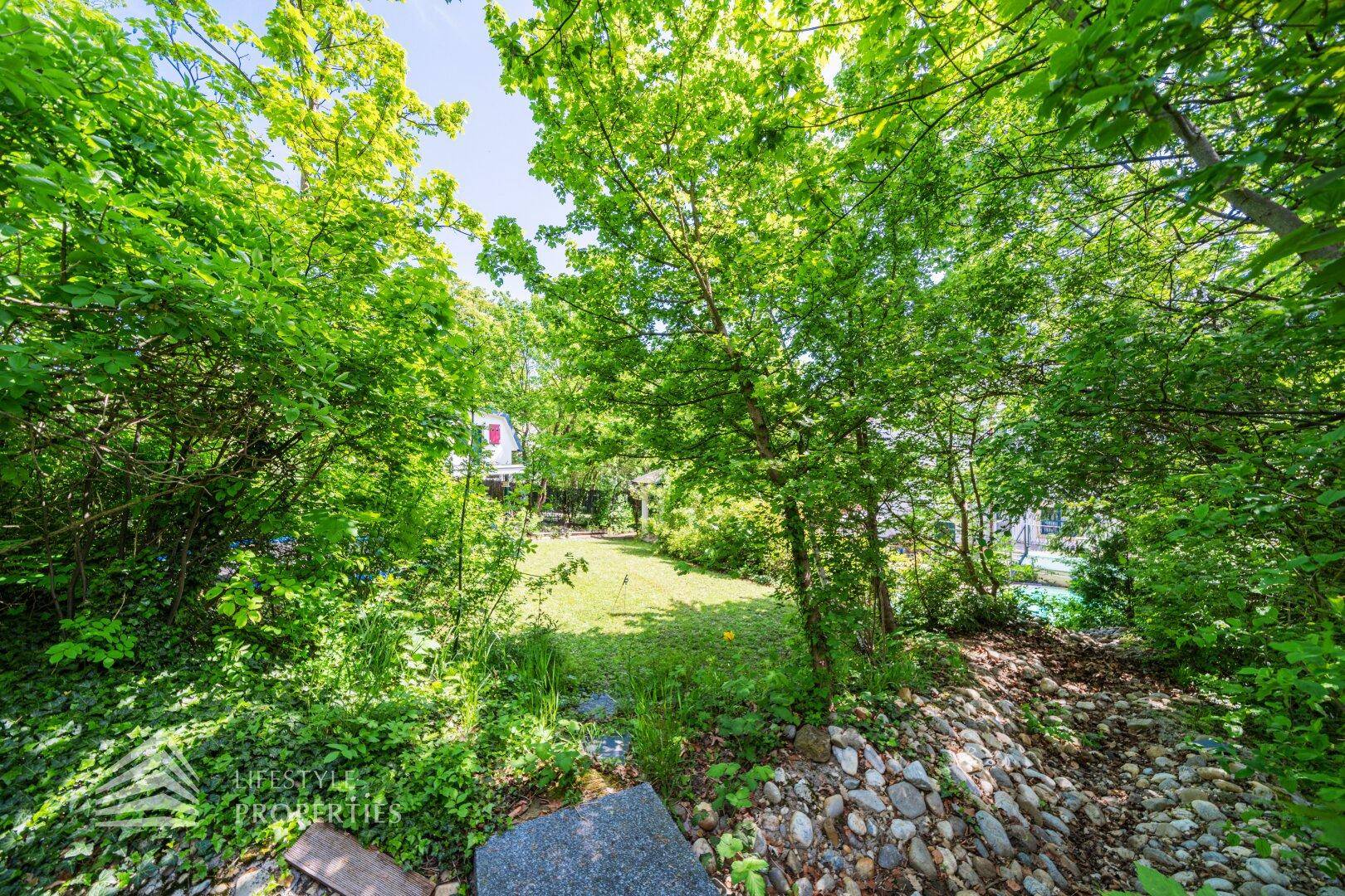 Naturbelassener Gartenbereich mit Rasenfläche, Bäumen und Sträuchern.