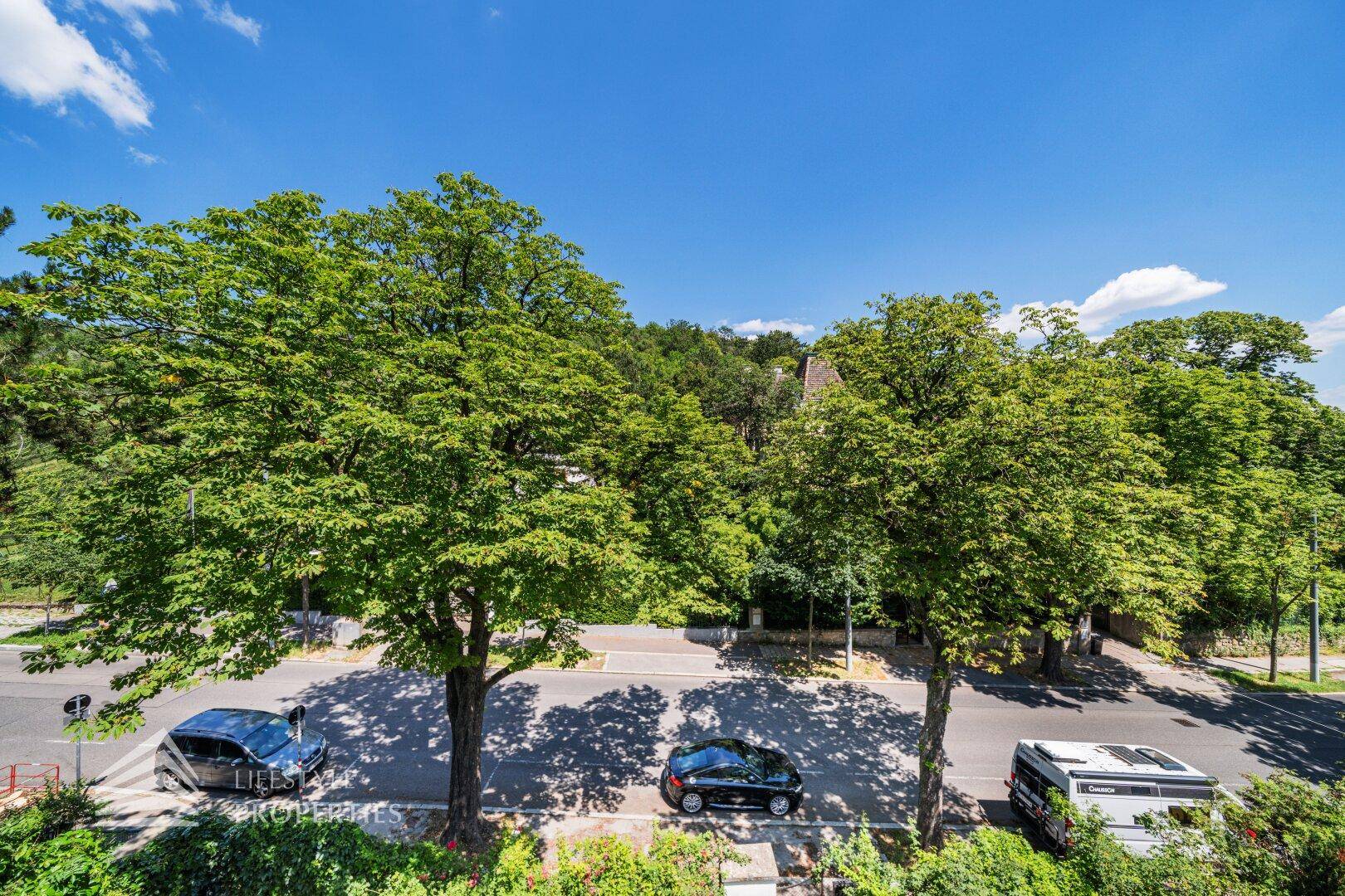 Panoramablick von einem französischen Balkon auf die grüne Allee und den Himmel.