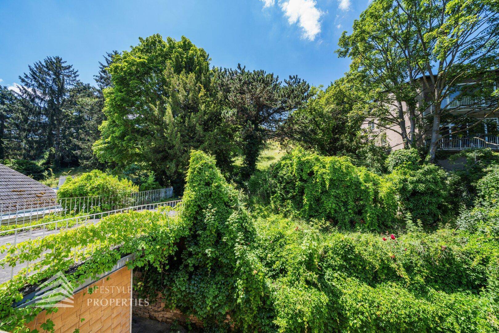 Üppig bewachsener Gartenbereich mit Bäumen und Sträuchern unter blauem Himmel.