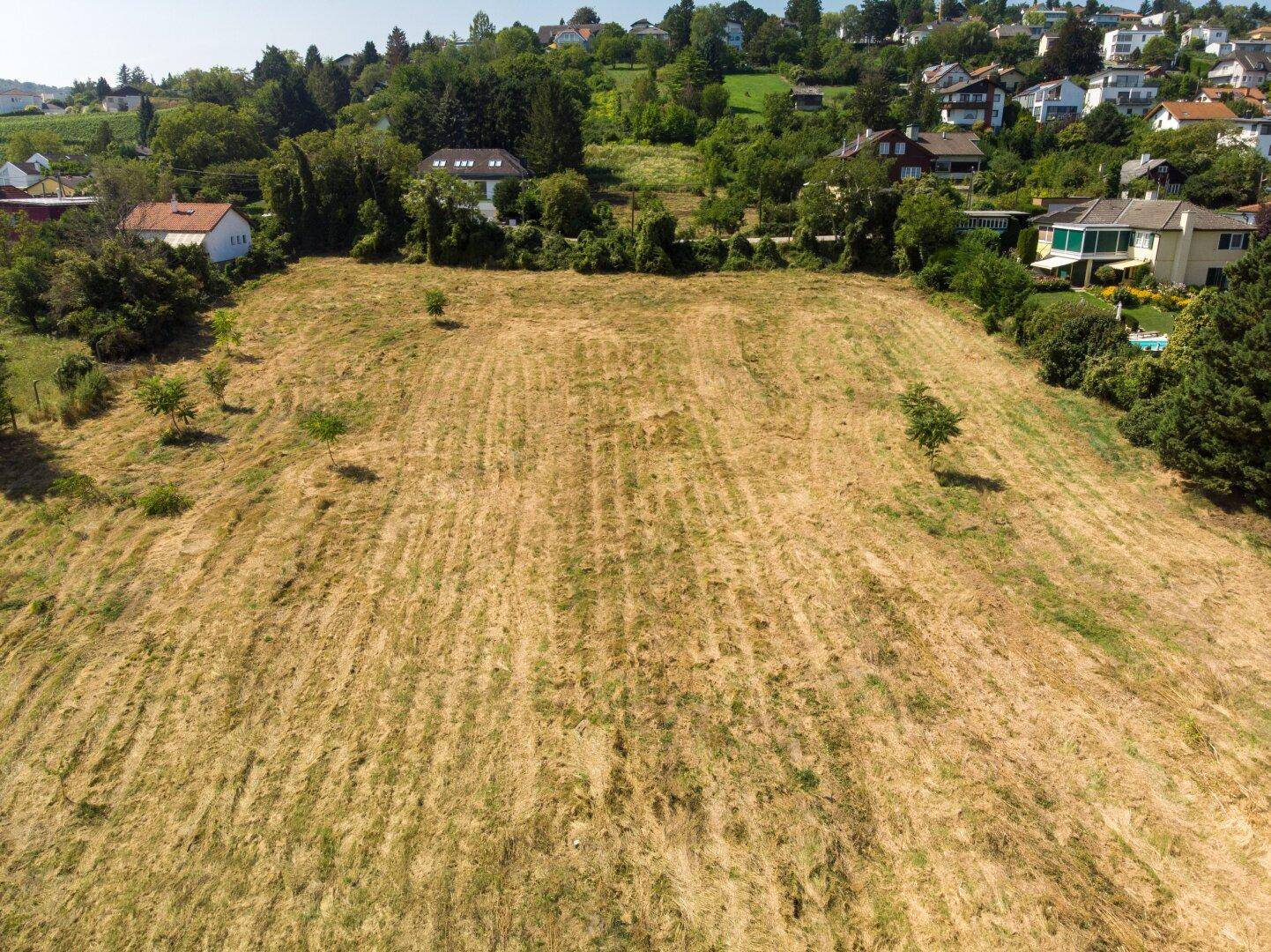 Luftaufnahme eines großen Grundstücks mit angrenzenden Wohnhäusern und grüner Umgebung.