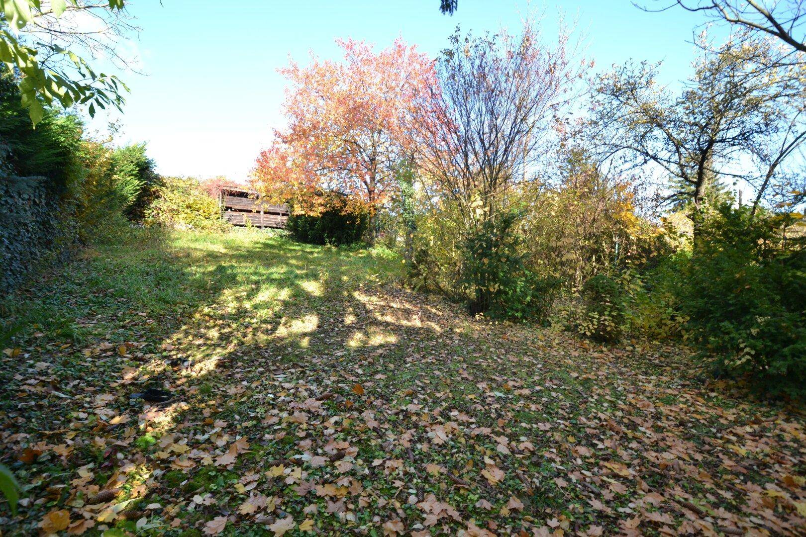 Hanglage im Garten mit herbstlichem Laub, Bäumen und Sträuchern, die eine natürliche Umgebung schaffen.