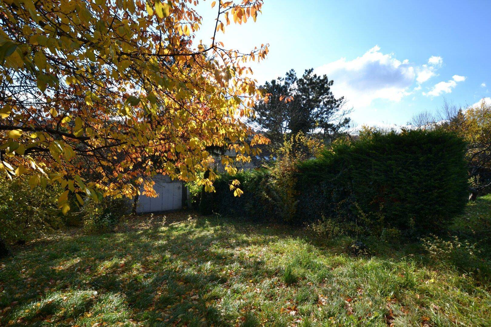 Herbstlicher Garten mit Rasenfläche, bunten Bäumen und einem kleinen Schuppen im Hintergrund.