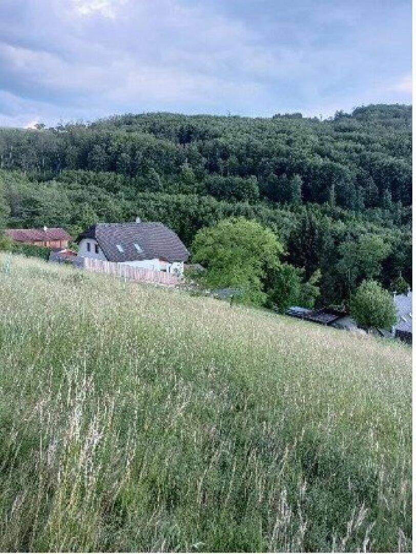 Grüne Wiesenlandschaft auf einem Hang mit einem Haus und bewaldeten Hügeln im Hintergrund.