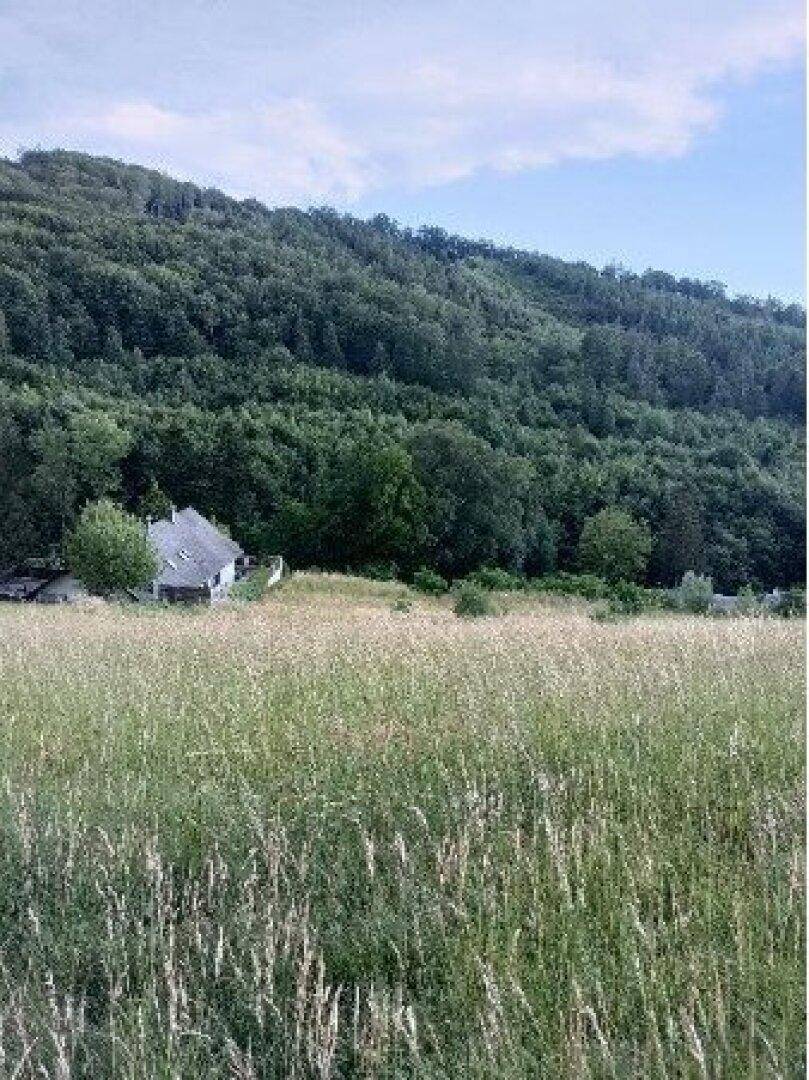 Weite Wiesenlandschaft mit einem Haus am Fuße eines dicht bewaldeten Hügels unter blauem Himmel.