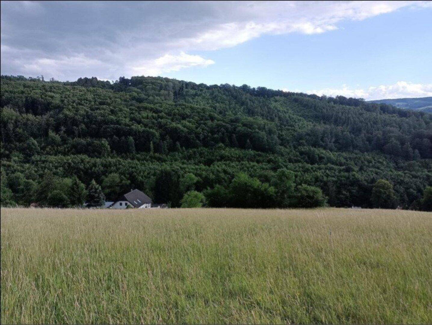 Weite Wiesenlandschaft mit einem Haus am Fuße eines dicht bewaldeten Hügels unter bewölktem Himmel.