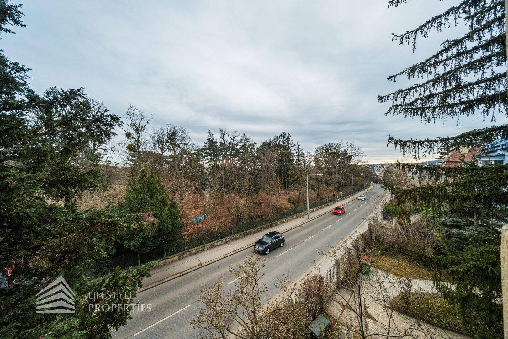 Blick von oben auf eine Straße mit Bäumen und umliegender Bebauung.
