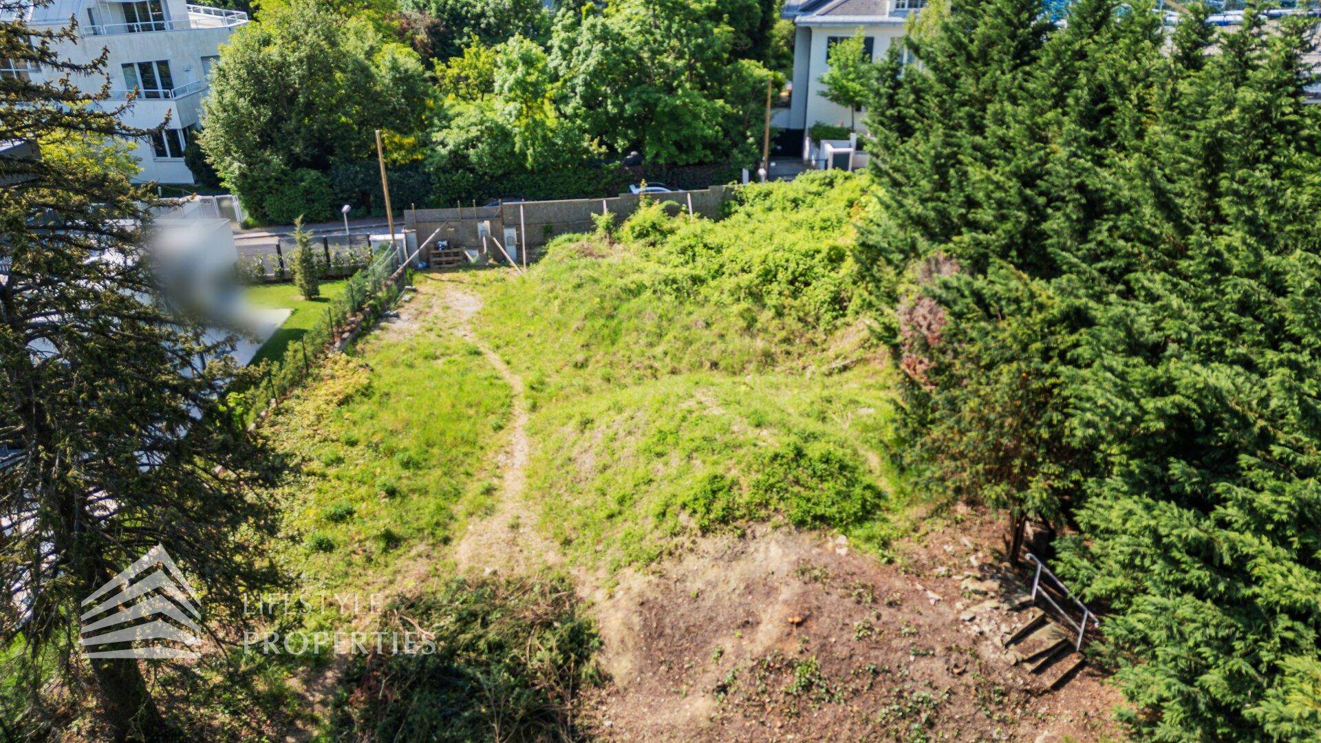 Luftaufnahme eines hügeligen Grundstücks mit üppiger Vegetation und angrenzenden Häusern.