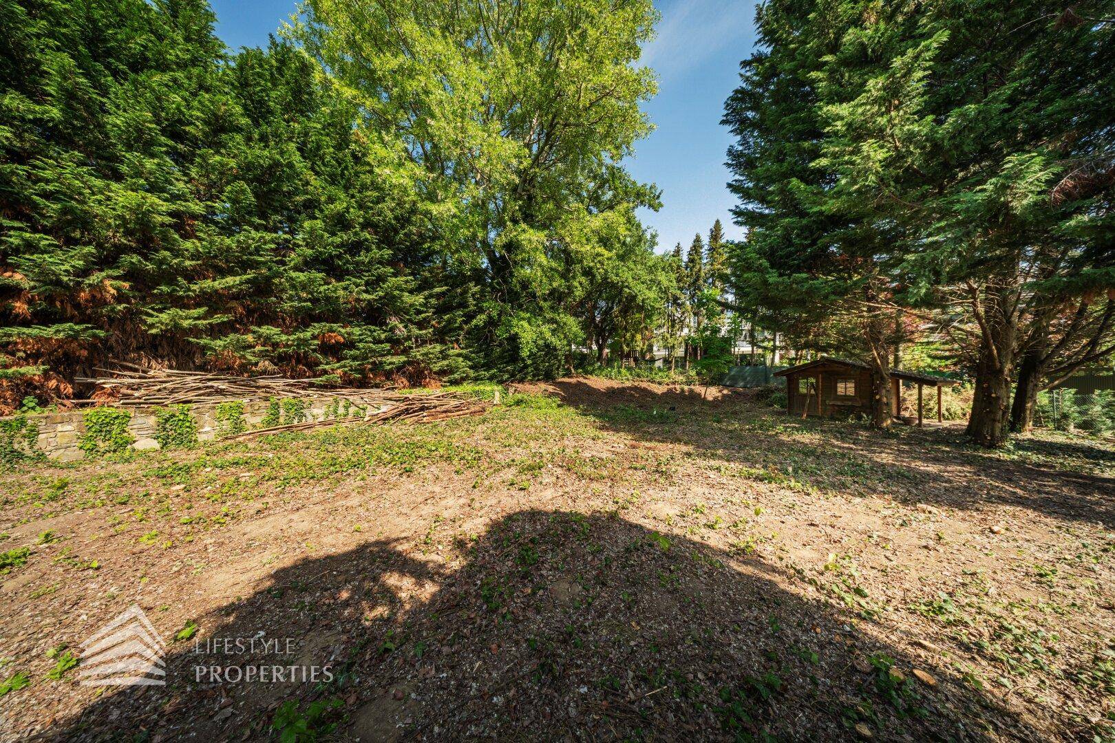 Sonniger Blick über ein großes Grundstück mit Bäumen und einem kleinen Gartenhaus.