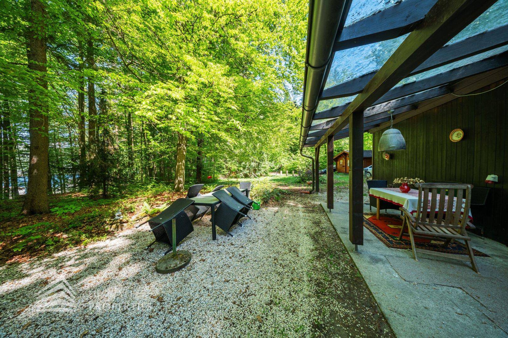Überdachte Terrasse mit Sitzgelegenheiten und Blick in den grünen, sonnigen Wald.
