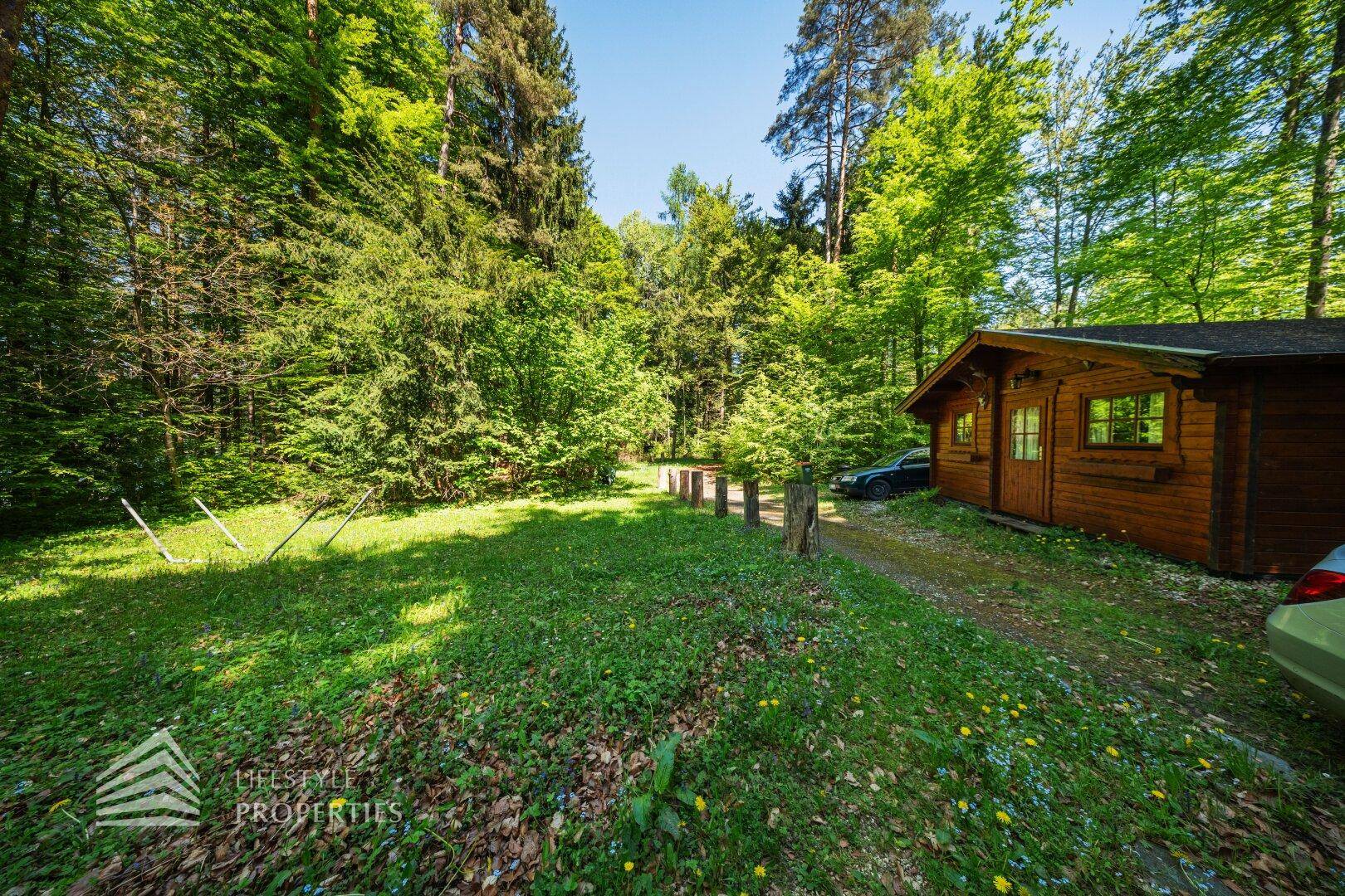 Charmante Holzhütte in einer Lichtung, umgeben von hohen Bäumen und üppigem Grün.