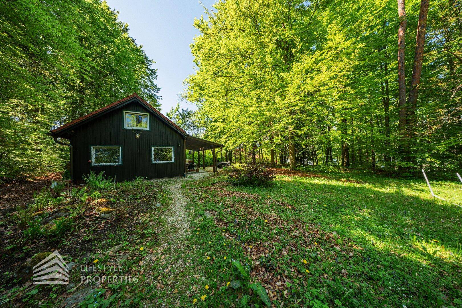 Dunkle Holzhütte mit Veranda, eingebettet in eine grüne Waldlandschaft unter blauem Himmel.