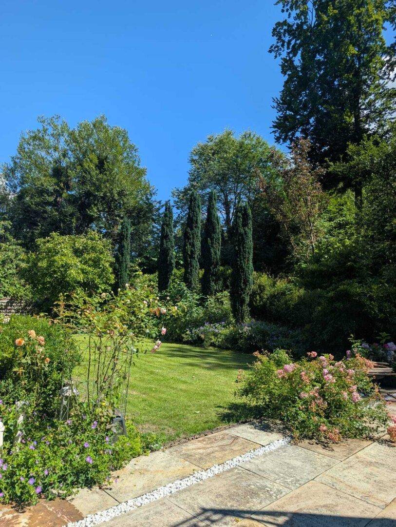 Gepflegter Garten mit Rasenfläche, hohen Bäumen und blühenden Rosenbüschen.