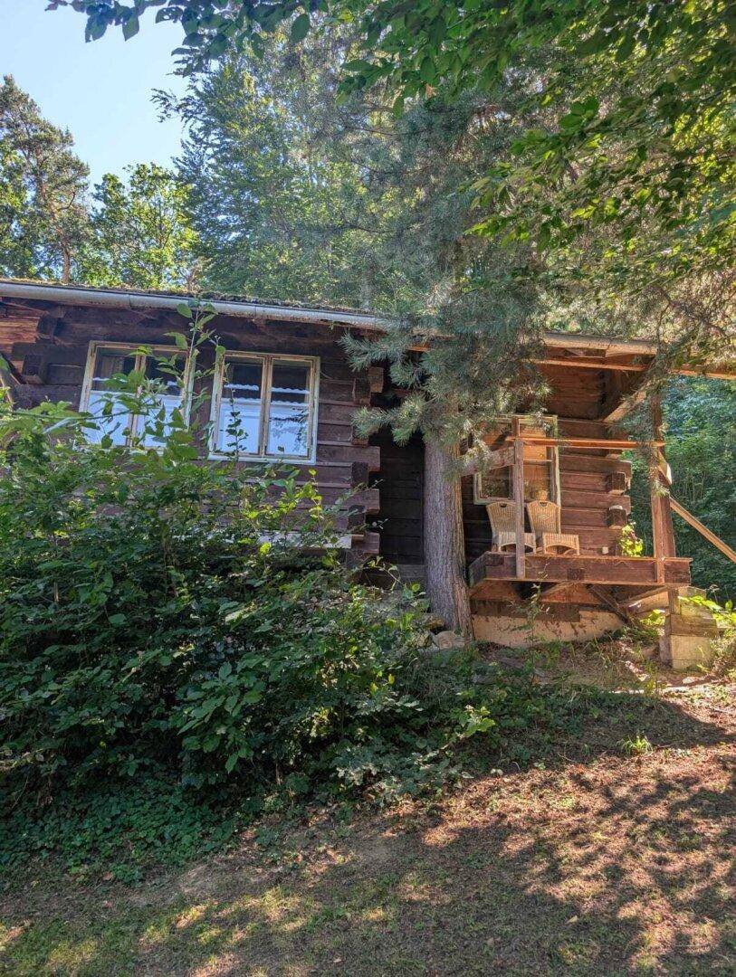 Charmante Holzhütte mit Veranda, eingebettet in die grüne Natur und Bäume.