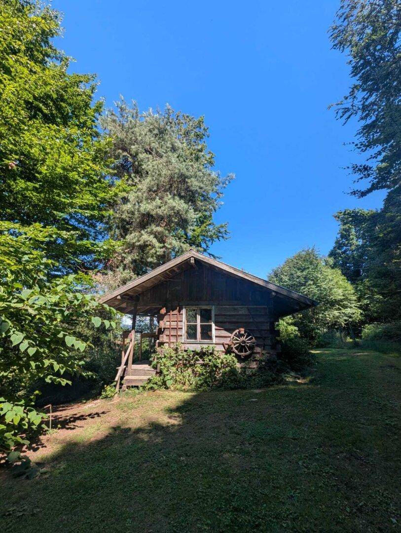 Rustikale Holzhütte im Grünen, umgeben von hohen Bäumen und Wiese.