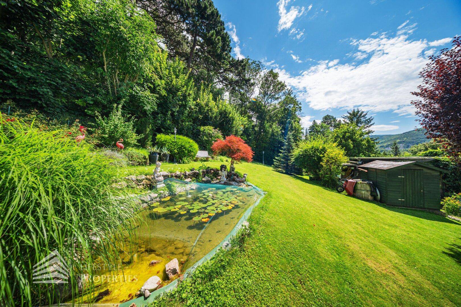 Idyllischer Gartenteich mit Seerosen und einem kleinen Geräteschuppen im grünen Garten.