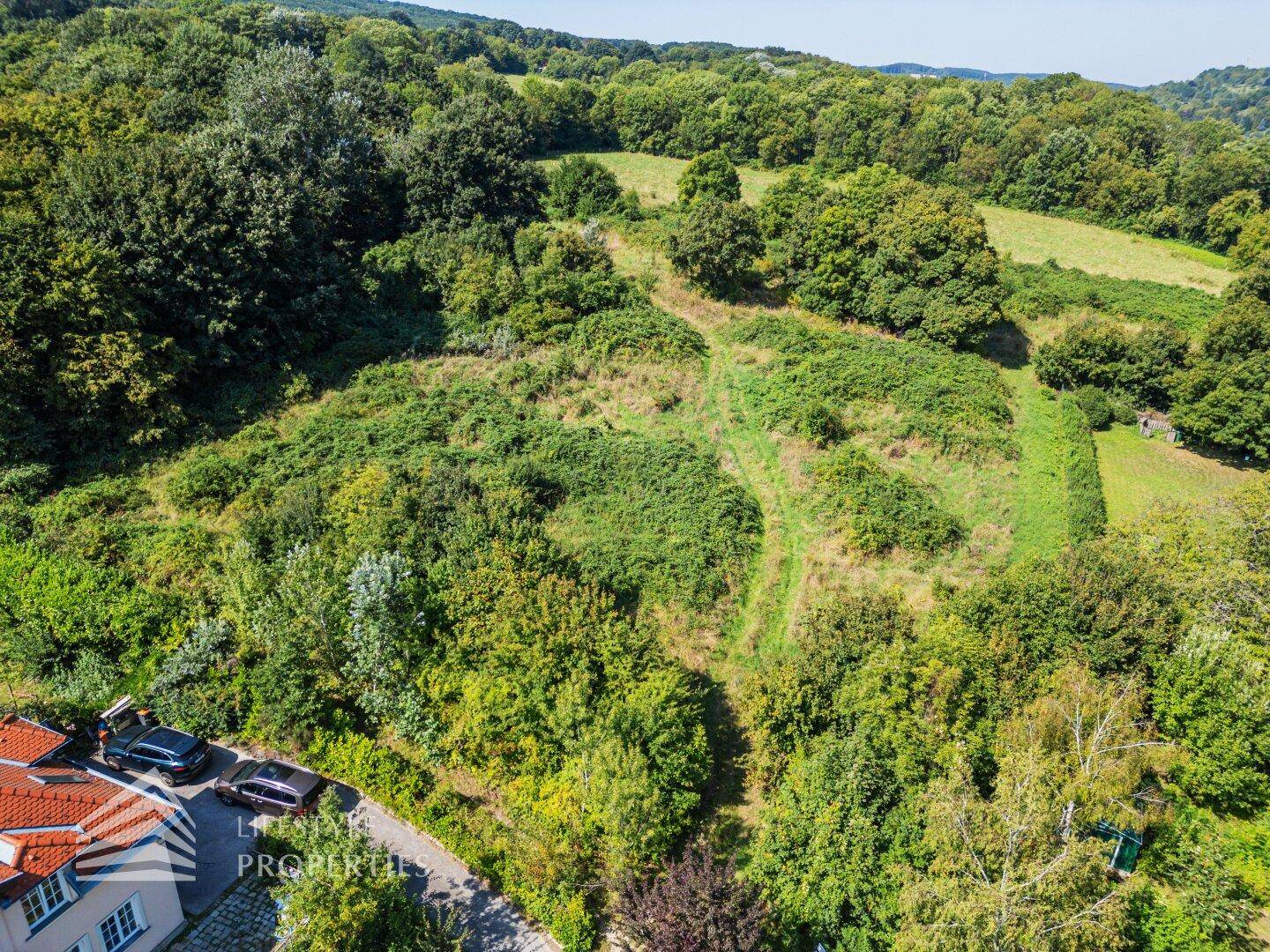 Übersicht über ein weitläufiges grünes Grundstück mit dichter Vegetation und angrenzenden Wohnhäusern.