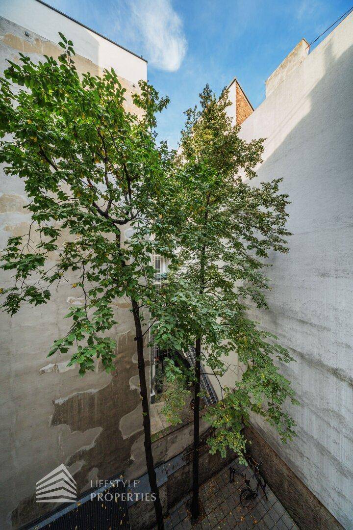 Blick in einen begrünten Innenhof mit hohen Bäumen und umgebenden Gebäudefassaden.