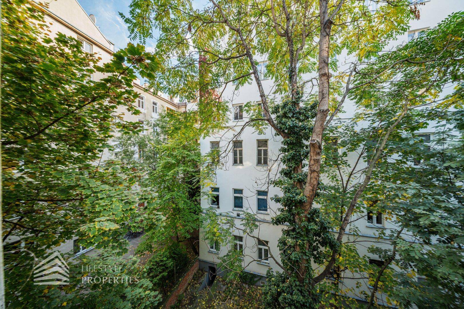 Blick in den grünen Innenhof mit alten Bäumen und umliegenden Gebäuden.