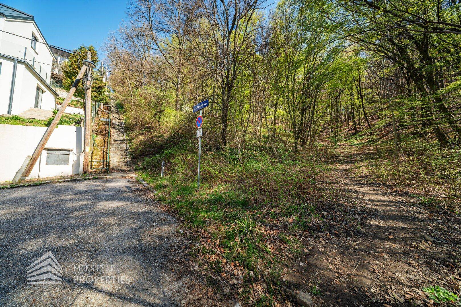 Bewaldete Umgebung mit Straße und einem Weg, der in die Natur führt, idyllisch und ruhig.