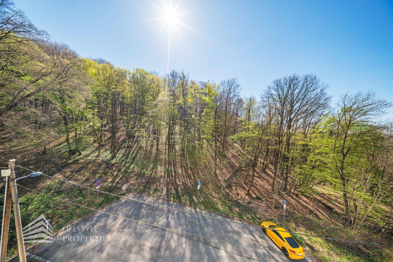 Weitläufiger Blick von der Immobilie auf die Straße und die umliegenden Wälder.