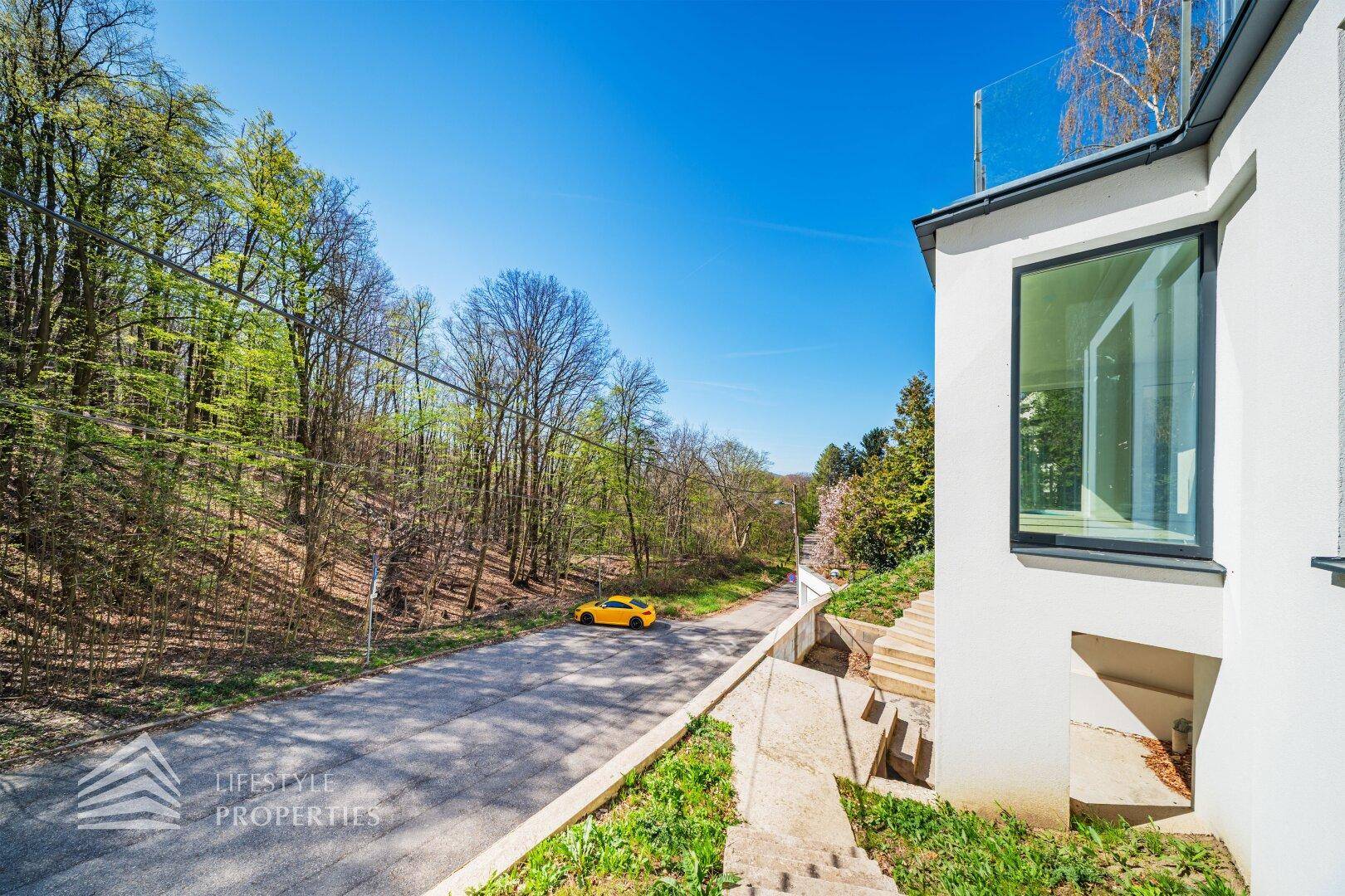 Seitenansicht der modernen Villa mit Blick auf die bewaldete Umgebung und die Straße.