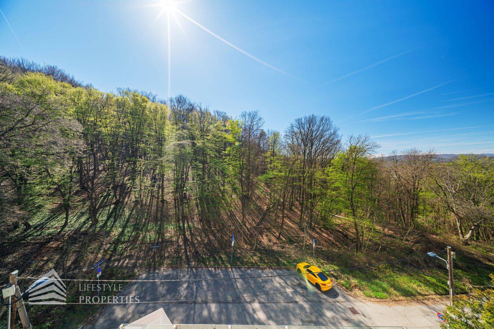 Panoramablick von der Immobilie auf die bewaldete Umgebung und die Straße.