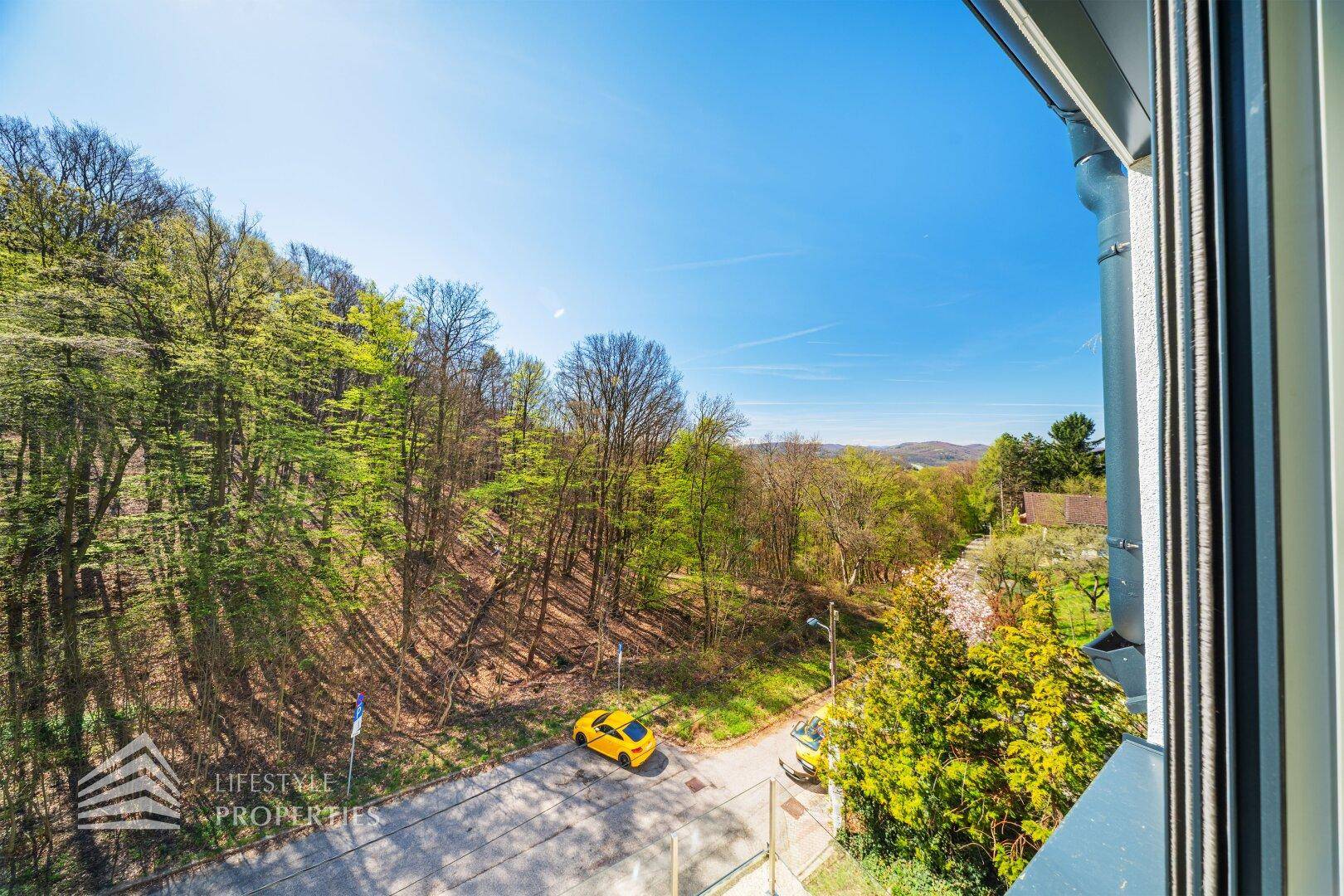 Weitläufiger Blick von der Immobilie auf die grüne Landschaft und die Straße.