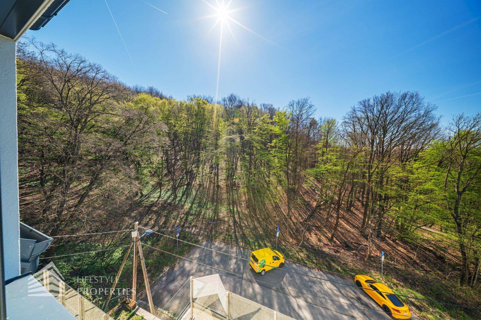 Sonniger Ausblick von der Immobilie auf die bewaldeten Hügel und die Straße.