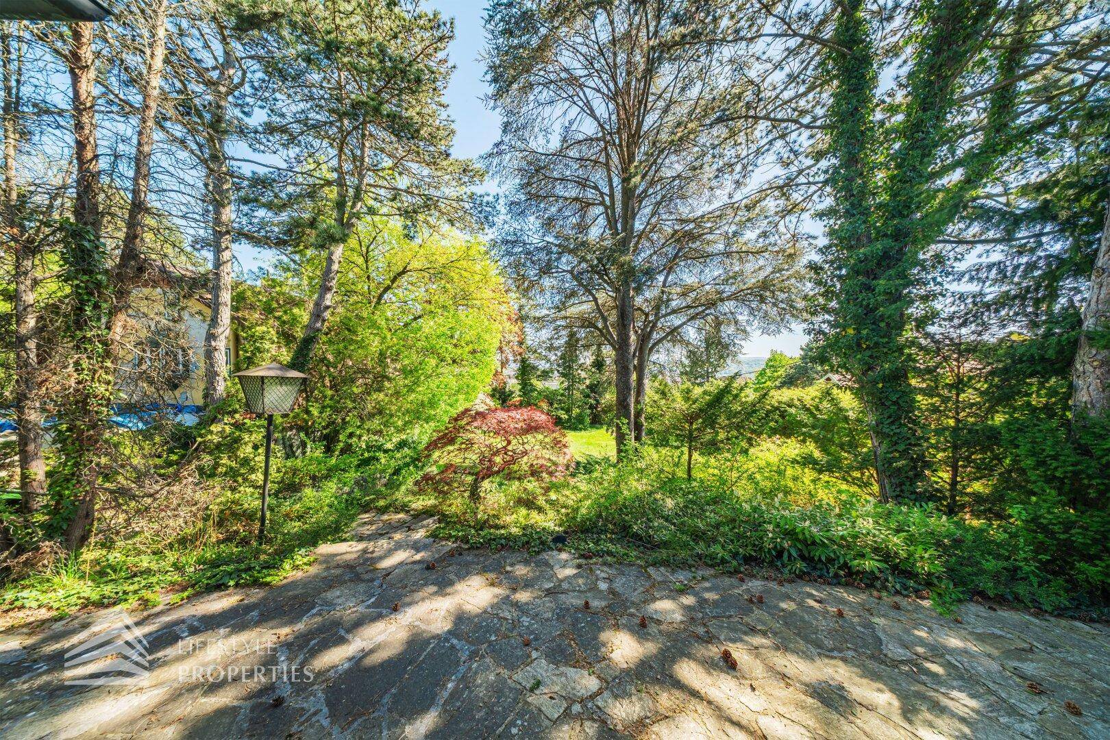 Steinterrasse umgeben von üppiger Vegetation und hohen Bäumen mit weitem Blick in die Natur.