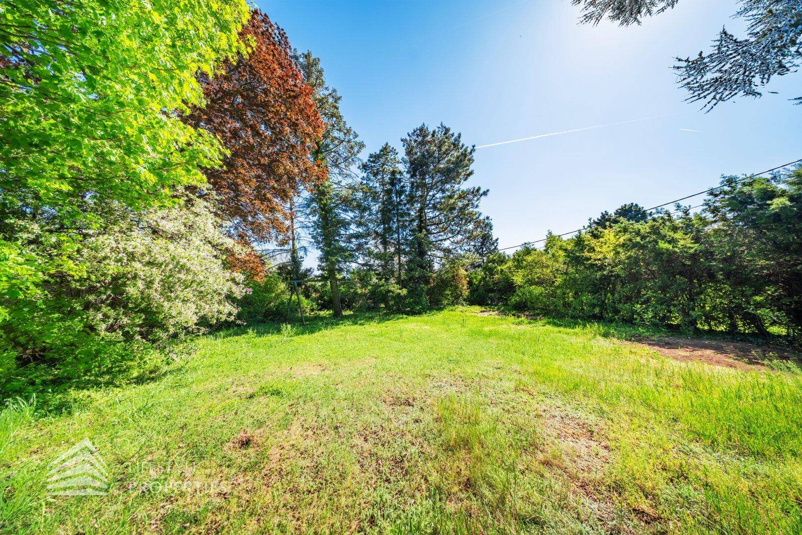 Weitläufige Rasenfläche im Garten unter blauem Himmel, umgeben von vielfältiger Vegetation.